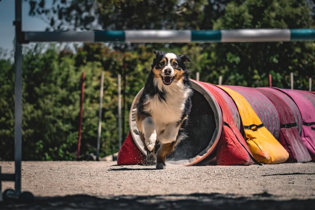 AGILITY
