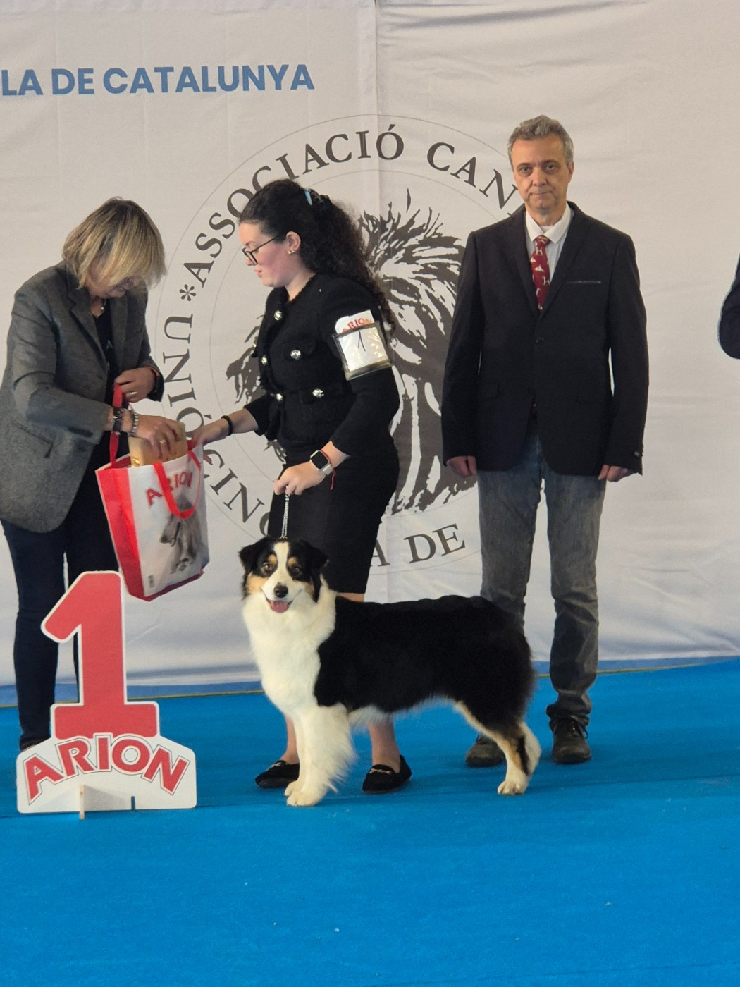 Exposition canine de Valls (Espagne)
