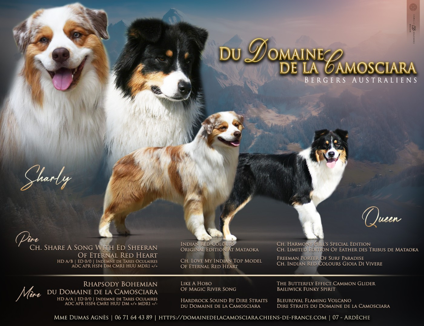 Gestation Queen dernière ligne droite ..