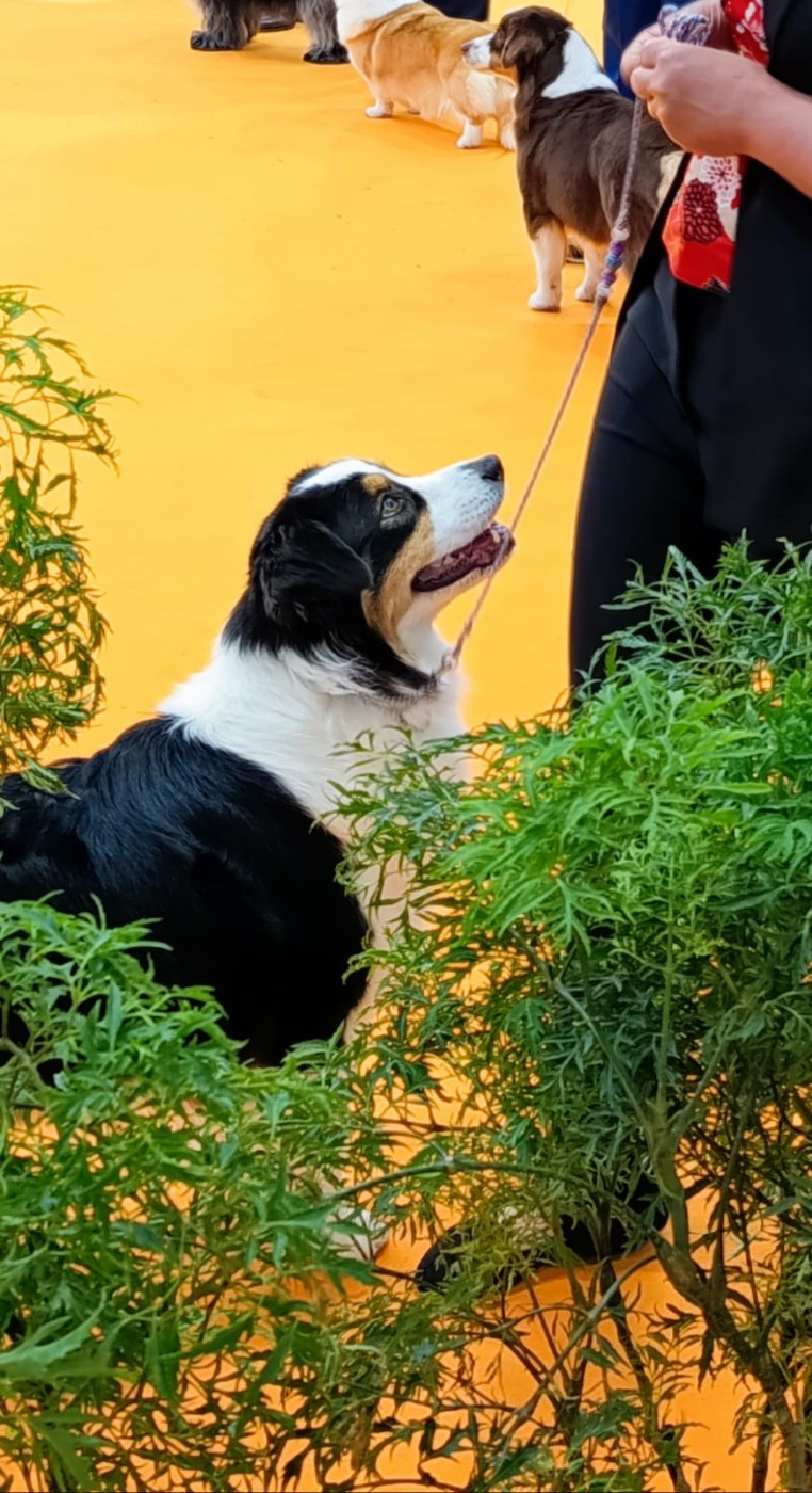 Taïga était au Salon International de l'Agriculture !!