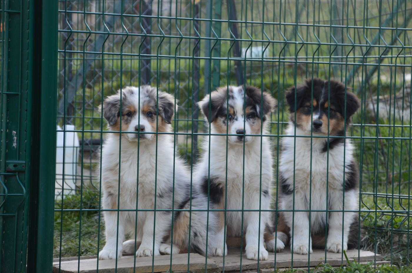 Les derniers départs ..