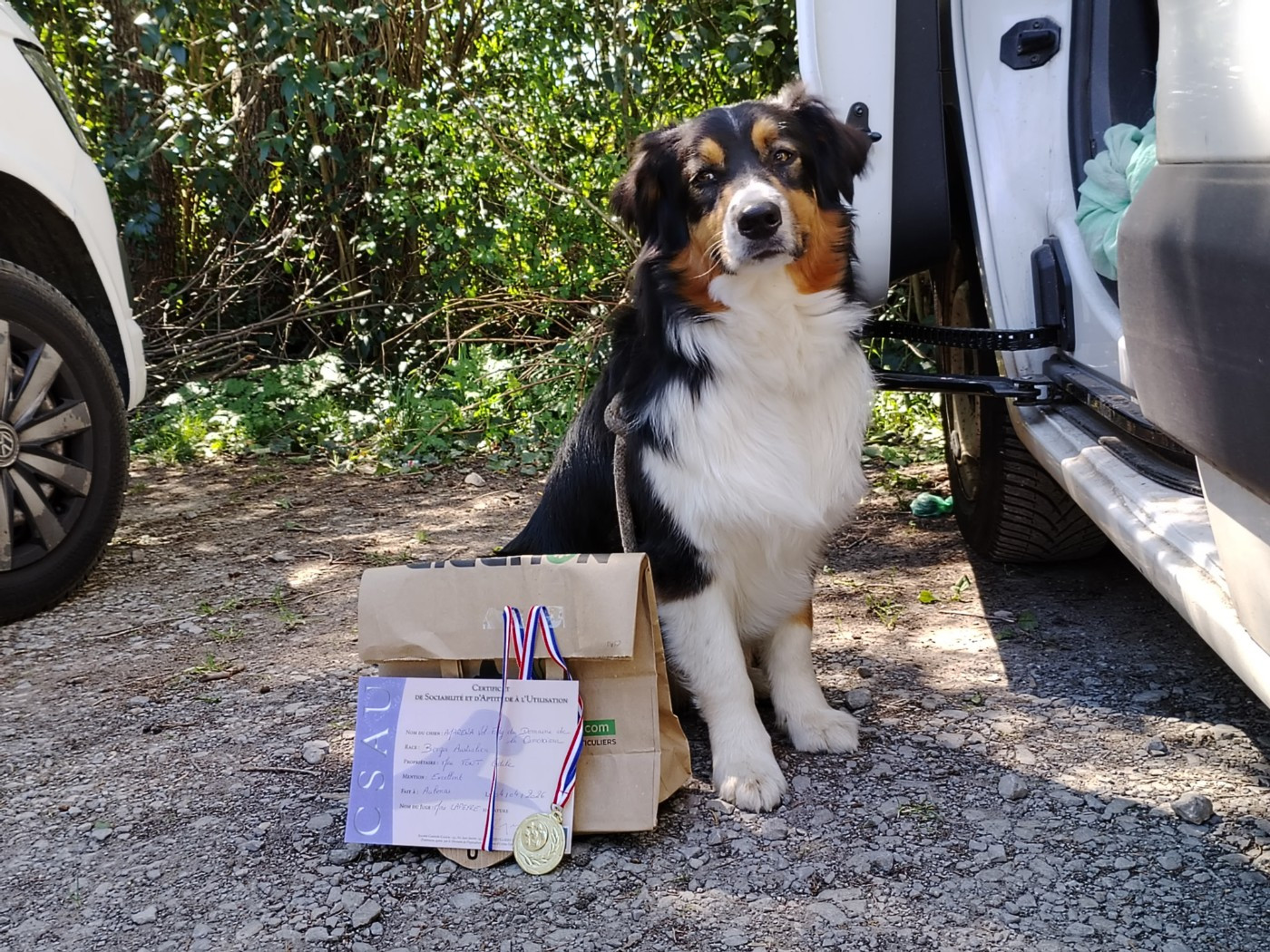 CSAU AMARENA VOL FODY DU DOMAINE DE LA CAMOSCIARA