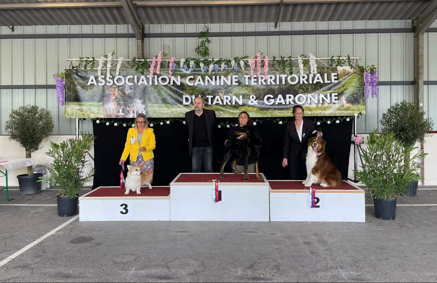 EXPO CAC MONCLAR DE QUERCY