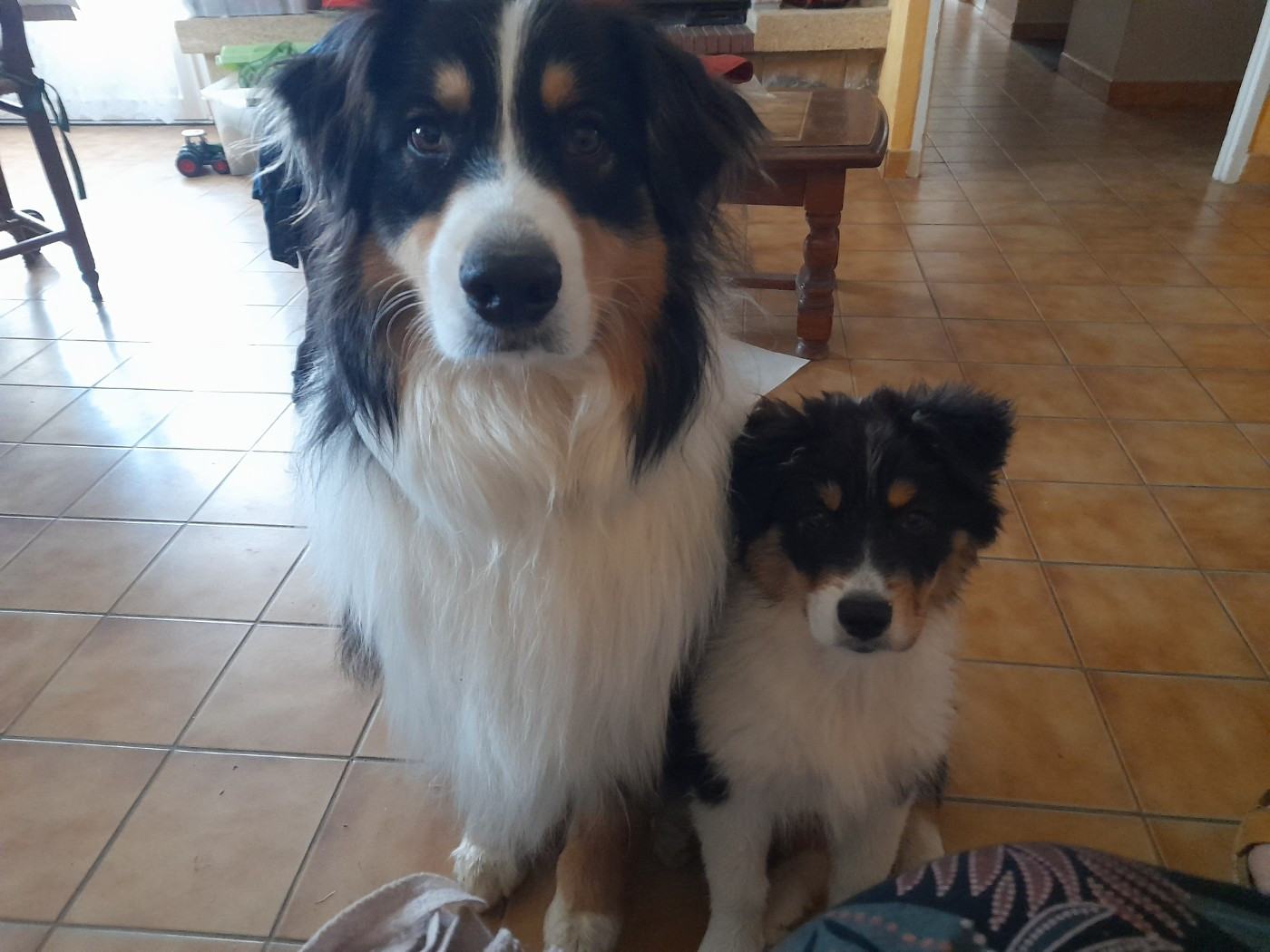 Les BB en famille ..